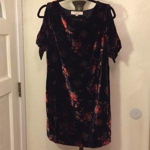Loft Floral Velvet Cold Shoulder Dress